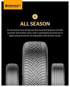 Affiche-All-Season